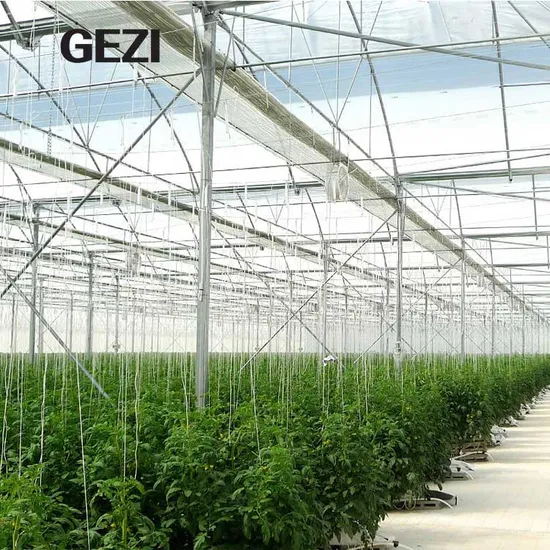 Greenhouse Diffusing Aluminum Reflective Heat Curtain Shading Cloth and Energy Screen for Tomato Greenhouse Factory