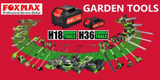 Long Handle High Brunch Electric Power Trimmer (FMGT-113)