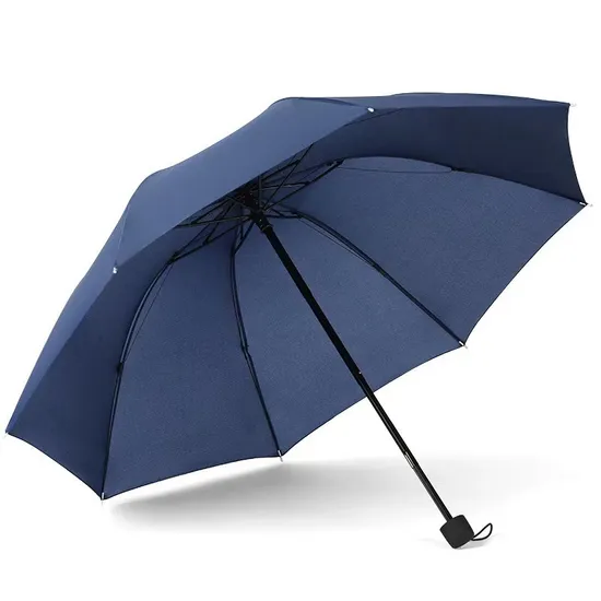 Black China Manufacturers Wholesale Promotional Fashion Automatic Fold Umbrella