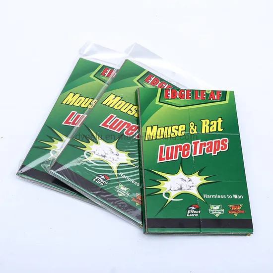 Edge Leaf Green Mouse Trap Paper Sticky Glue Board Pest Trap Sticker Rodent Repellant Control Glue Mouse Traps with Mouse Attractant