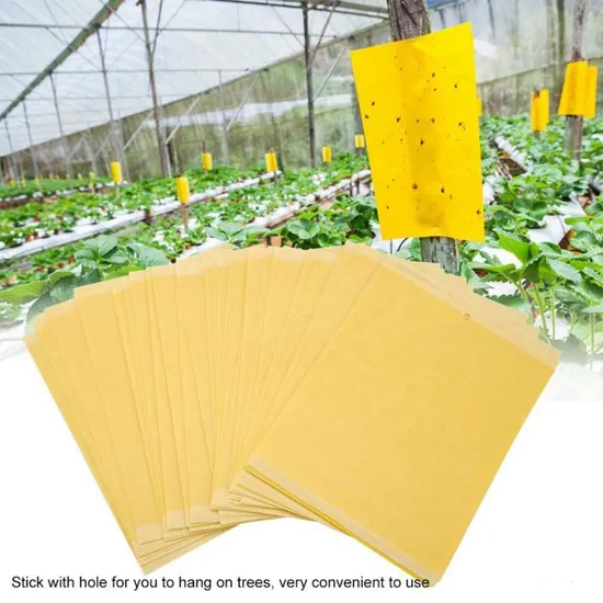 Wholesale Custom Cheap Dual-Sided Strong Glue Original Trip Sticky Flies Paper