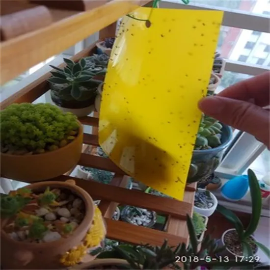 Killing Insects Double-Sided Pest Glue Board