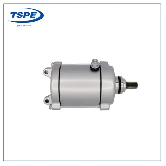 Motorcycle Parts Starter Motor for Akt125/Akt150tt/SL125