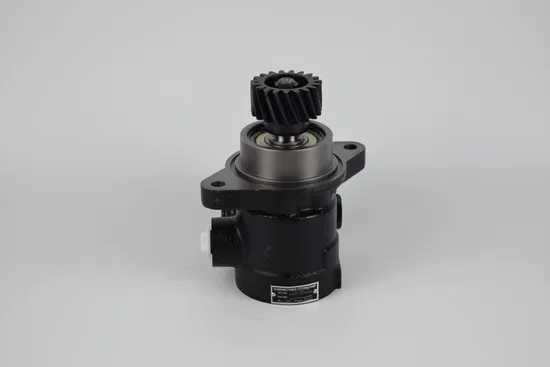Quanxing Power Steering Pump 44310-1621/44310-1490 for Hino Em100/Ek 100