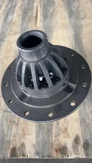 Differential Case Differential for Isuzu Npr Truck 19t