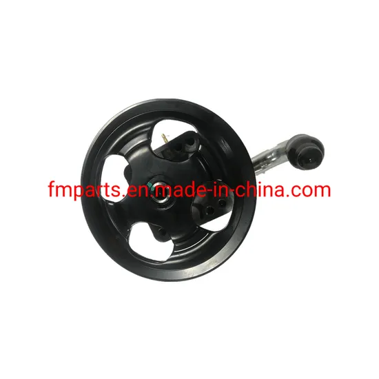 Auto Steering Parts Hydraulic Power Steering Pump OEM 49100-65j00