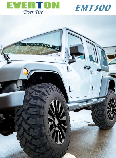 Mt Car Tyre with Everton Brand EMT300 Lt Tyre