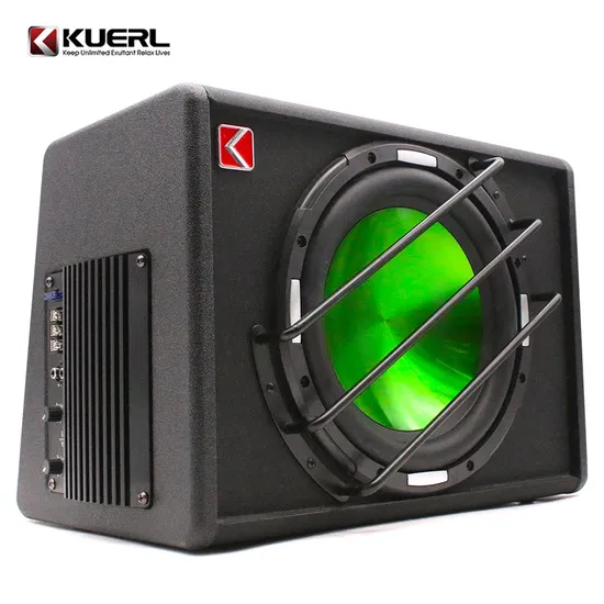 1200W Car Subwoofer Strong Car Speaker 10 Inch Subwoofer Built in Amplifier