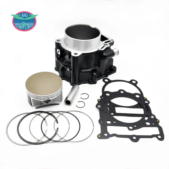 High Quality B650 G650GS F650GS Big Bore 100mm 650cc Motorcycle Cylinder Piston Kit with Gaskets Fit for BMW Std