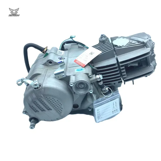 Vini 190cc Motor Zongshen W190 Horizontal Engine 190cc Dirt Bike Special
