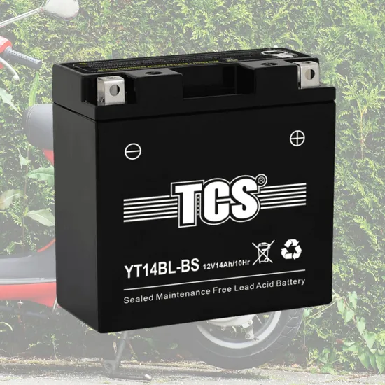 Yt14bl-BS Valve Regulated Lead Acid Yb14la2 Battery for Electric Tricycles