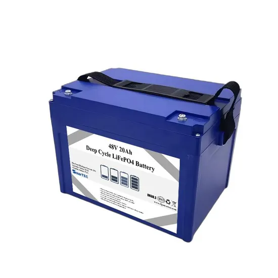17 Yrs Smartec Factory Price Customized Cases E-Motorcycle Lithium-Ion Battery 13s8p 48V 20ah LiFePO4 Battery for Automatic Guided Vehicle/ Solar Storage System