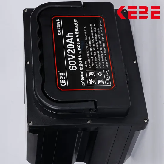 48V 20ah LiFePO4/Li-ion Battery for Electric Bicycle/Bike with BMS