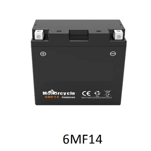 Customized for The Southeast Asian Market Meet More Motorcycle Model Installation and Use Battery