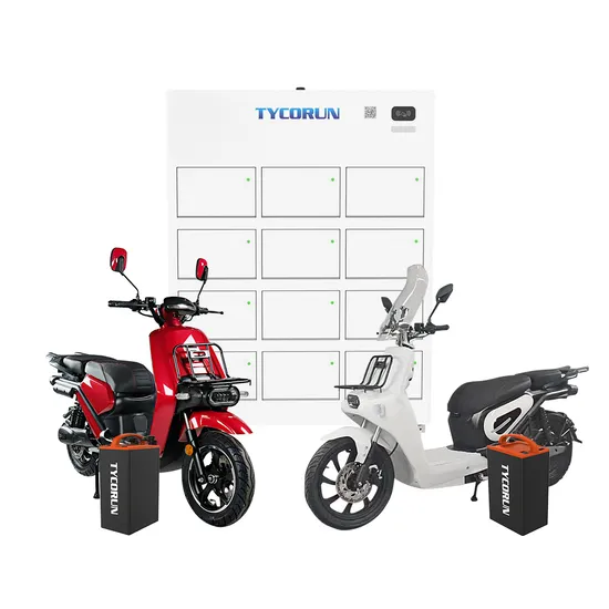 Tycorun 18 Years Factory ODM&OEM Battery Swap Station with Lithium Batteries