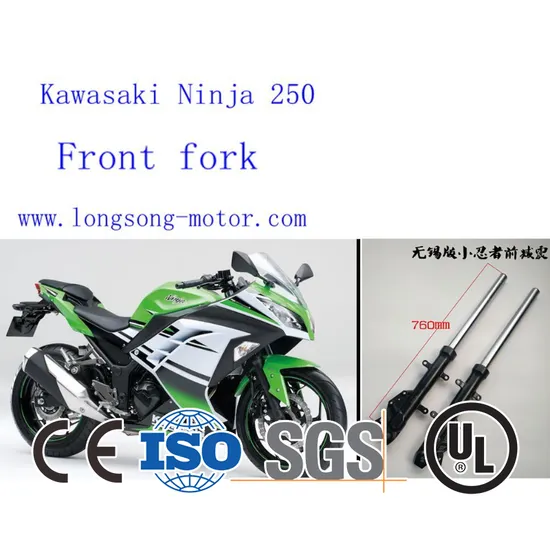 Kawasaki Ninja 250 Motor Cycle ABS Front Fork Front Shock Absorber