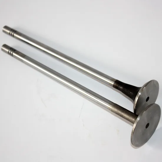 Dongfeng Engine Intake and Exhaust Valve for Dci11