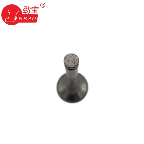 Om401 Engine Valve Auto Engine Parts Kit for Mercedes Benz