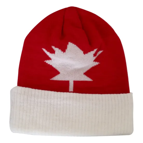 Knitted Beanie Knitted Hat Warm Hat Warm Cap Winter Hat Winter Cap NTD16c