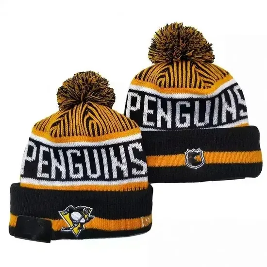 Wholesale Dropshipping Hockey Beanies Winter Warm High Quality Embroidered Knitted Beanies Hats for Men