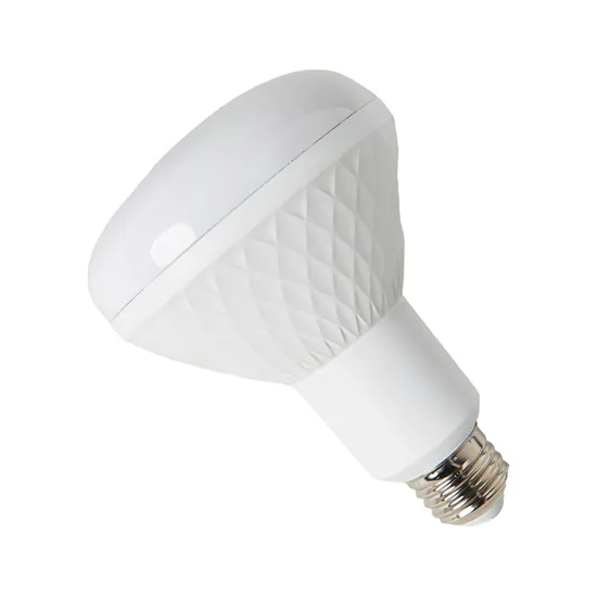 Wild Land A21 Remote Controlled RGB LED Lamp Bulb Speaker Tws 2 Sync -C