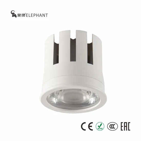 Mini High Light Efficiency Ra95 10W COB Dali Dimmable MR16 LED Light GU10 Module Aluminum Downlight
