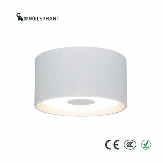 12W 15W LED Downlight Aluminum Alloy Indoor Ceiling Surface Mounted IP33 Round Cylinder Downlight Sample Customization