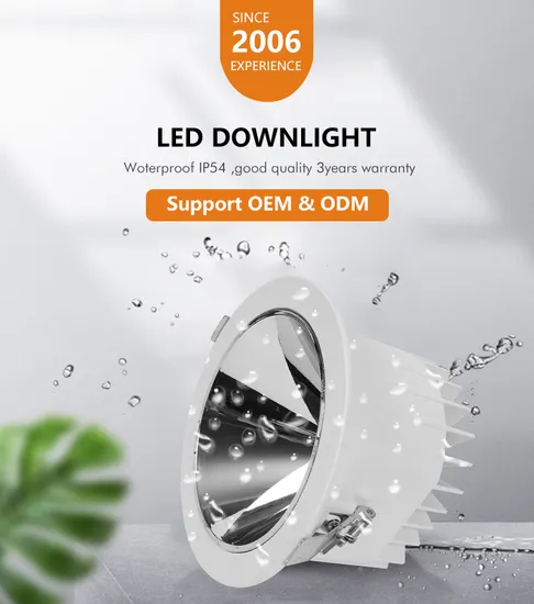 Premium LED Downlight - Energy Efficient Aluminum Fixture From China