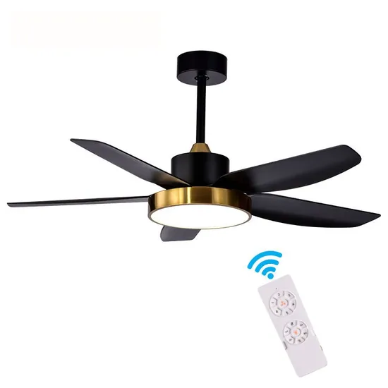 Household Living Room Dining Room Decorative Remote Control LED Ceiling Fan Light