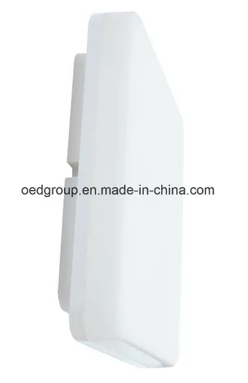 IP65 24W Auditorium Kitchen Coffee Shops Ceiling Mounted Luminaires Surface Mounted Bathroom Square LED Ceiling Light