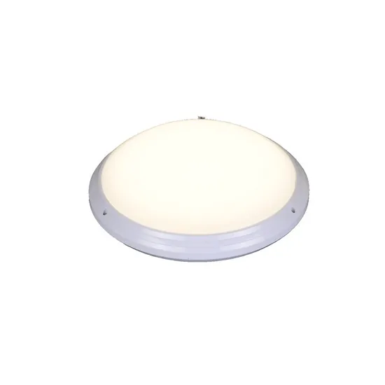 Premium IP54 LED Ceiling Light with Certified Safety Standards