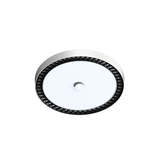 Modern Living Room Surface Mounted Round White Motion Senso LED Ceiling Light