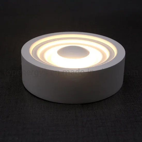 6W 12W 100V 110V LED Ceiling Lamp 2700K Warm White / 6500K Cool White Wall Mounted Install Home LED Ceiling Lighting