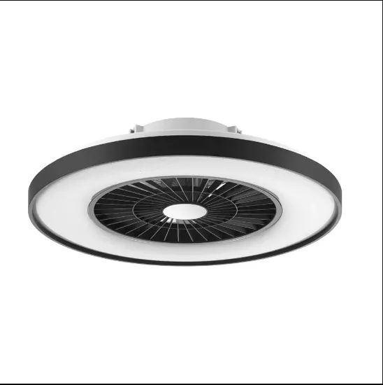 30W Modern Design Ceiling Fan with Remote Control and LED Light