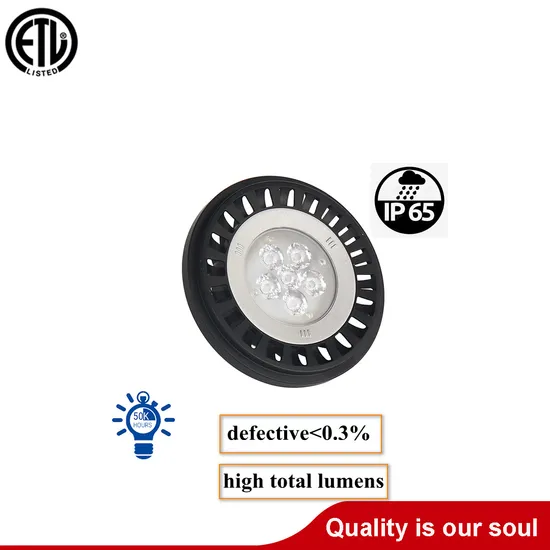 12V LED Waterproof IP65 PAR36 Spotlight for Outdoor Lighting