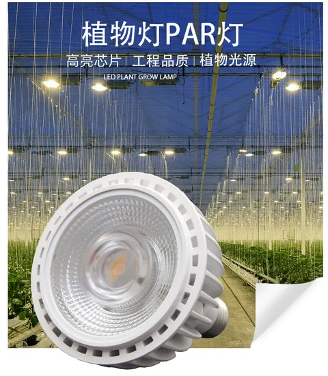 LED Plant Growth Light Full Spectrum PAR20PAR30PAR38 Indoor Succulent Pot Plant Fill Light