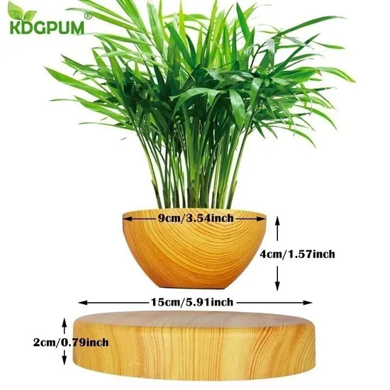 Home Office Plug Levitating Air Bonsai Pot Plants Planter Flower Pots Potted Succulent Plant Magnetic Levitation