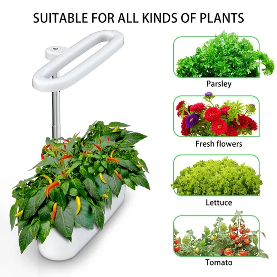 Smart Indoor Hydroponics Growing System