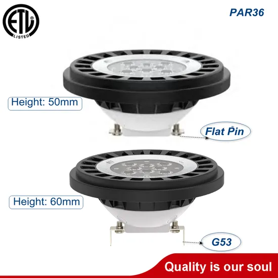 LED Exterior Spotlight LED Spot Lamp LED Well Light for Outdoor Environment
