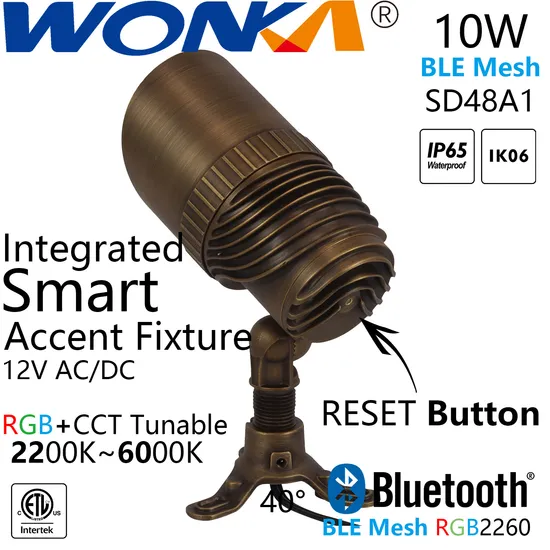 Bluetooth RGB+CCT Tunable Brass Accent Light Fixture with IP65