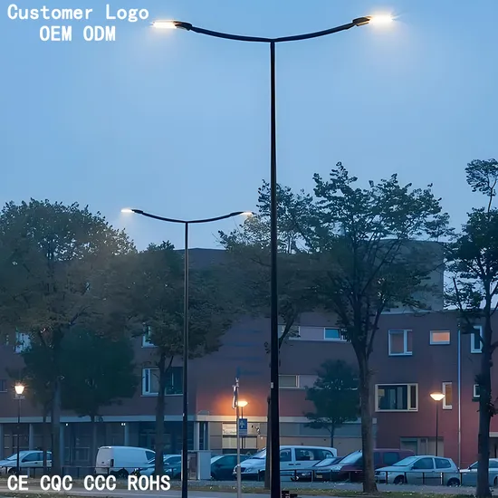 Outdoor Waterproof LED Street Lamp 80W-100W Streetlight with Pole