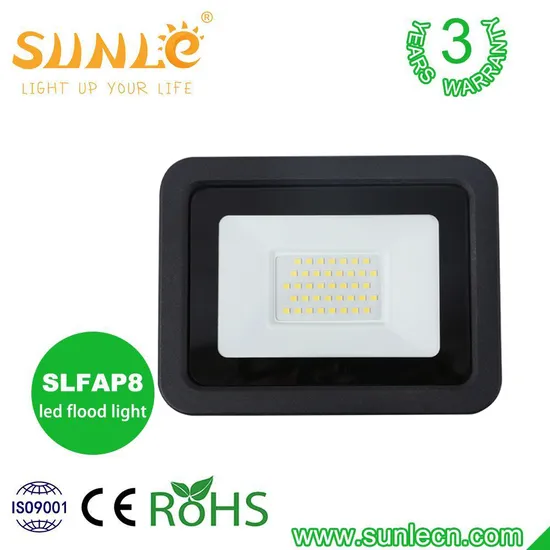 Spot Light Outdoor LED Floodlight CE RoHS Approval 10W 20W 30W 50W 80W 100W 150W 200W Road Project Lighting IP65 LED Flood Light