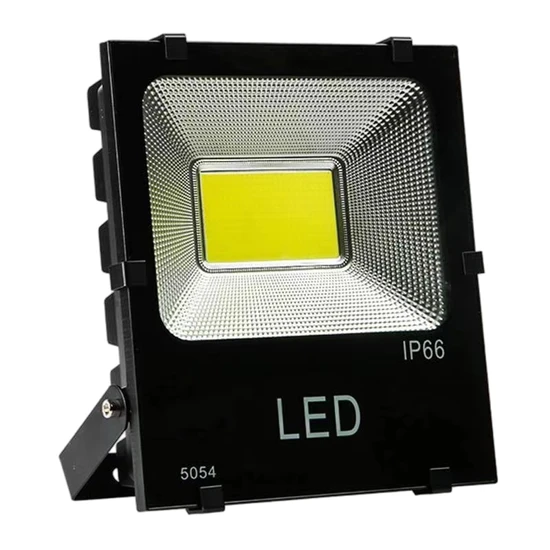 Heavy 50W 100W 150W 200W High Lumen Old Mold LED Flood Light
