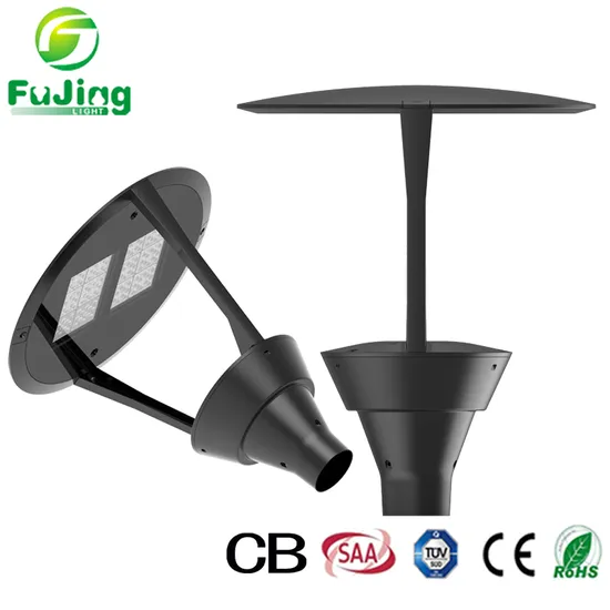 Professional Factory IP66 Ik08 Waterproof Road 30W 80W 100W Garden Courtyard Light