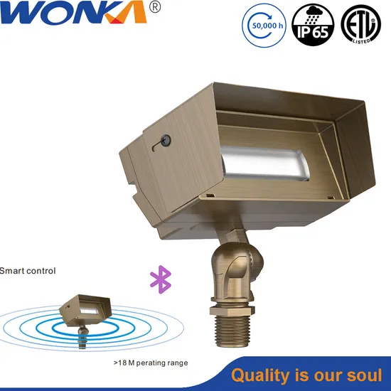 High-Quality RGBW Brass Lighting Fixture LED Wall Wash Light with Adjustable Glare Shroud