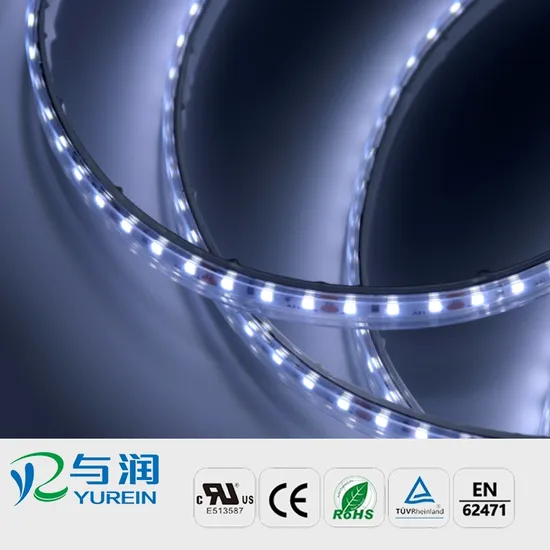 3 Years Warranty 2835SMD IP65 Waterproof Flexible LED Strip Light for Commercial Project High-End LED Strip