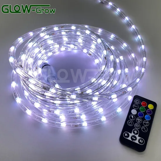 Suppliers 120V 18FT Christmas RGB LED Rope Light with Remote Controller for Home Garden Patio Decoration