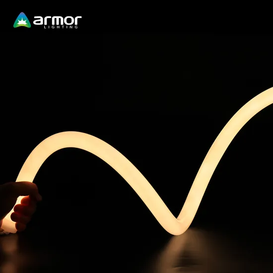 360 Degree LED Neon Rope for Decoration with Silicon Round Tube