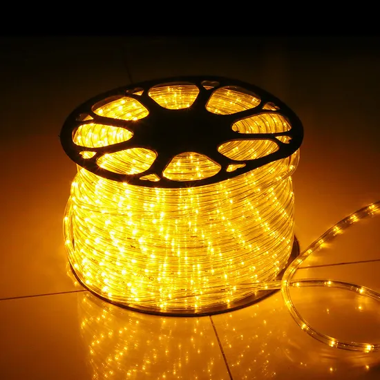 Outdoor Street Landscape Decoration IP65 Warm White Color 10m 100m PVC Green LED Rope Light