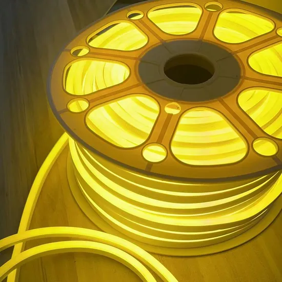 Small Size 220V 110V 24V LED Flex Neon Strip Light